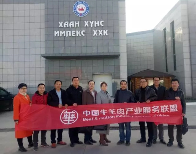 跨越草原的牵手 中国牛羊肉产业服务联盟蒙古国考察行记